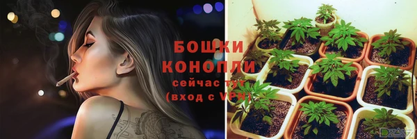 ГАЛЛЮЦИНОГЕННЫЕ ГРИБЫ Нефтегорск