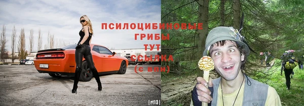 ГАЛЛЮЦИНОГЕННЫЕ ГРИБЫ Нефтегорск