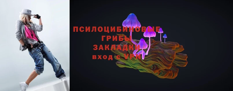 Псилоцибиновые грибы MAGIC MUSHROOMS  дарнет шоп  Белоозёрский 